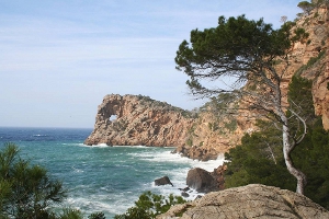 saforadada